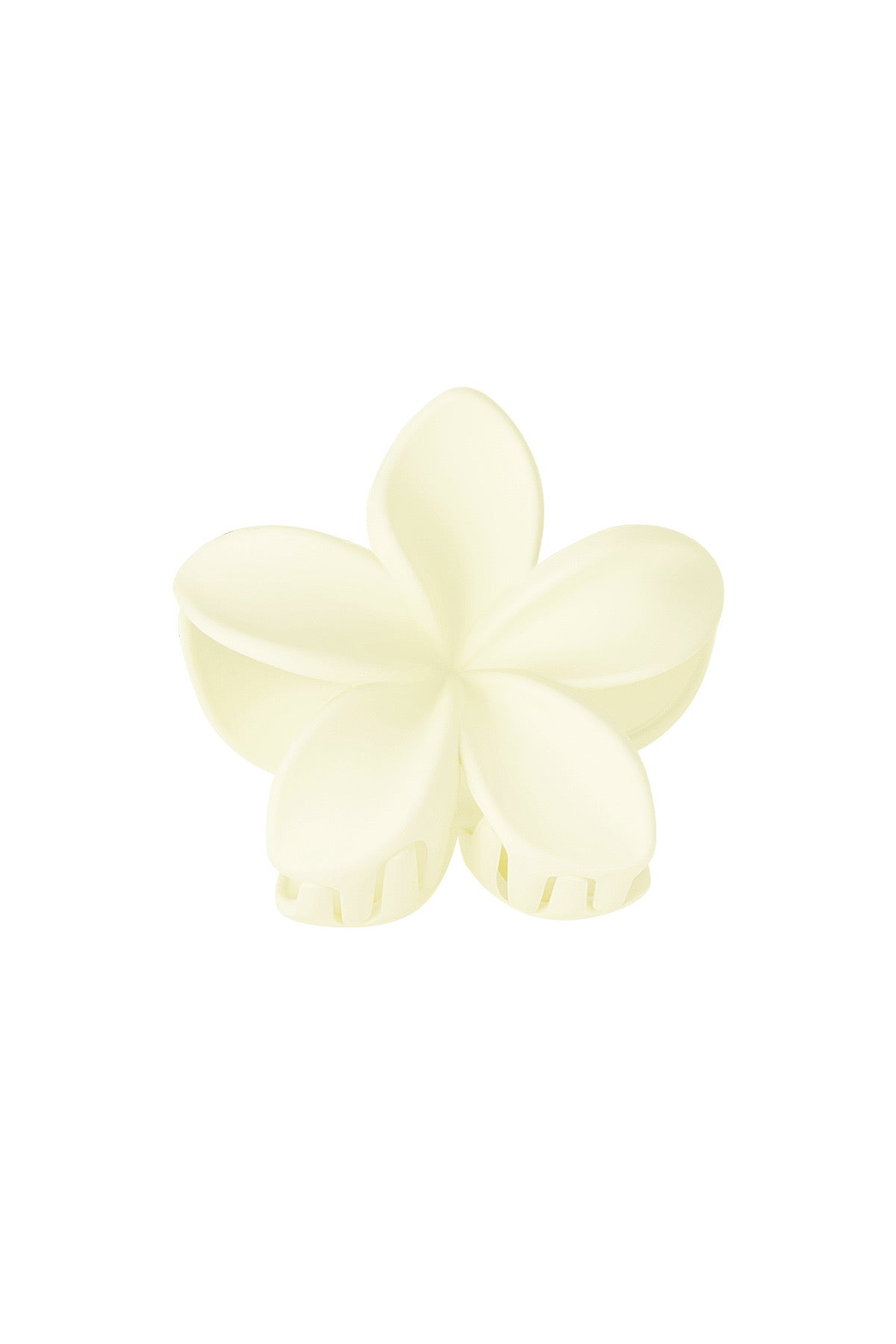 Haarklem bloem | cream