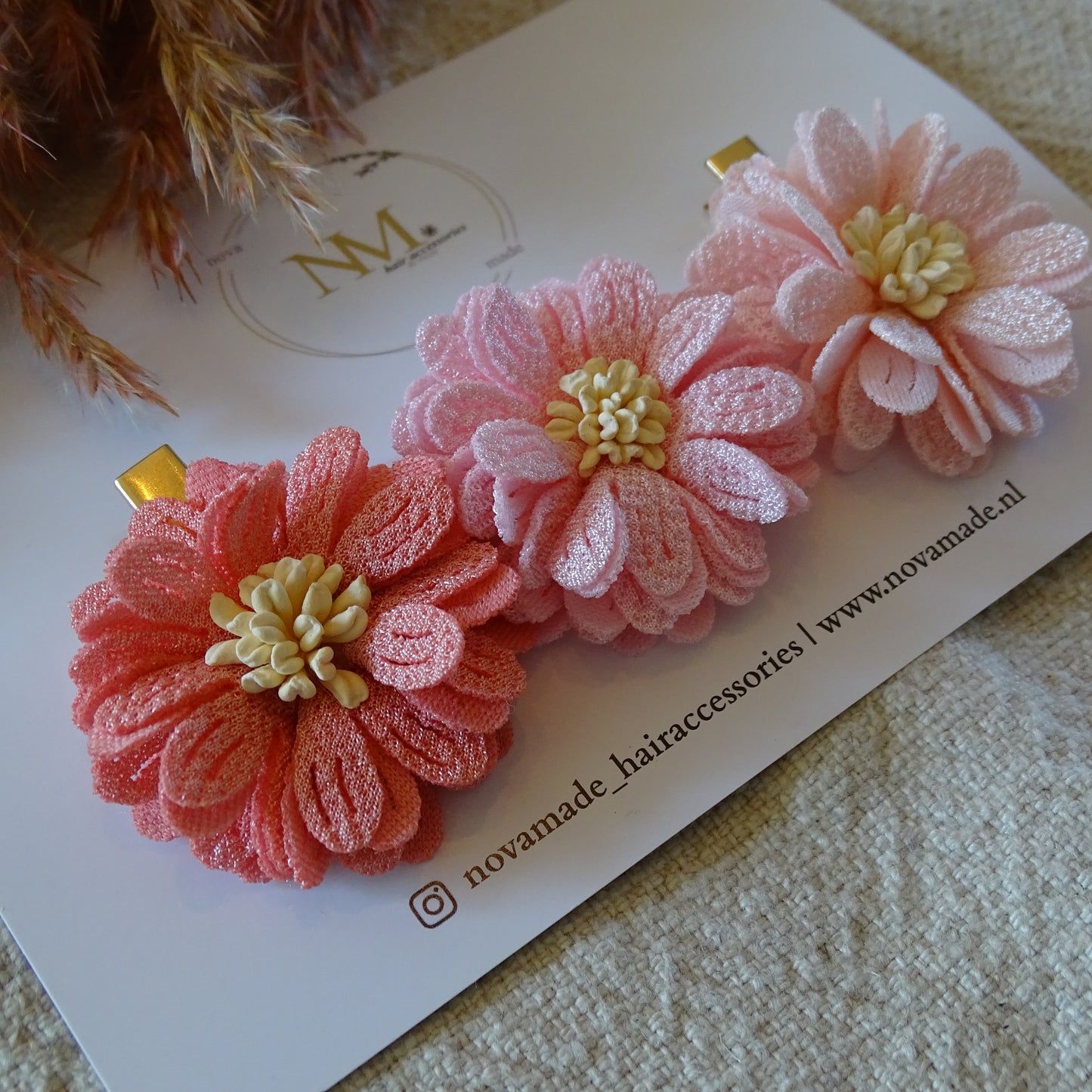 Alligator | Rosy Petal Garden