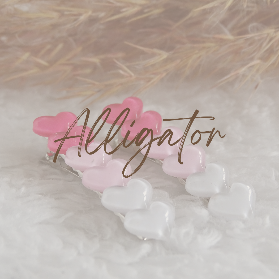 Alligator