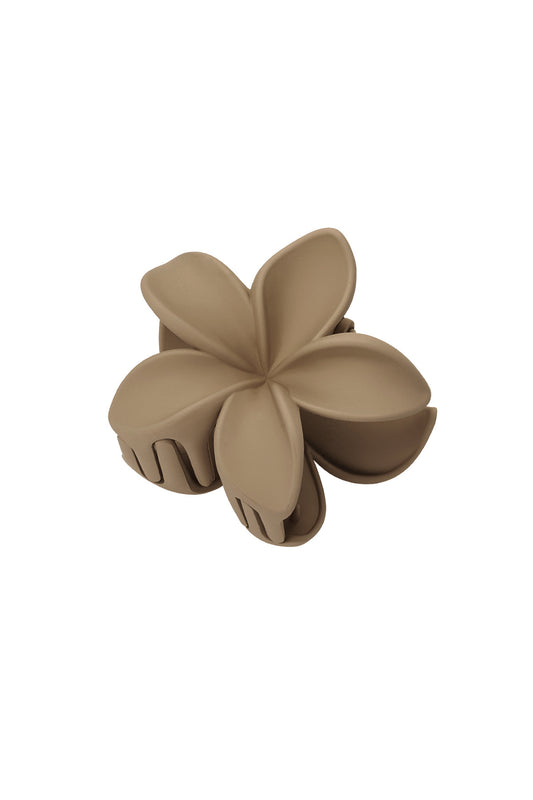 Haarklem bloem | camel