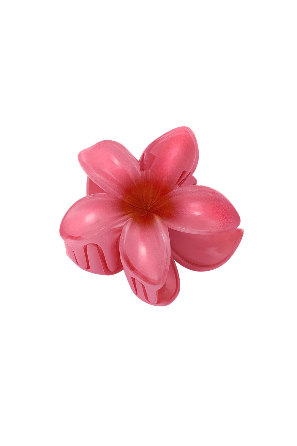 haarklem | hibiscus roze