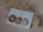 Alligator | set - autumn flowers