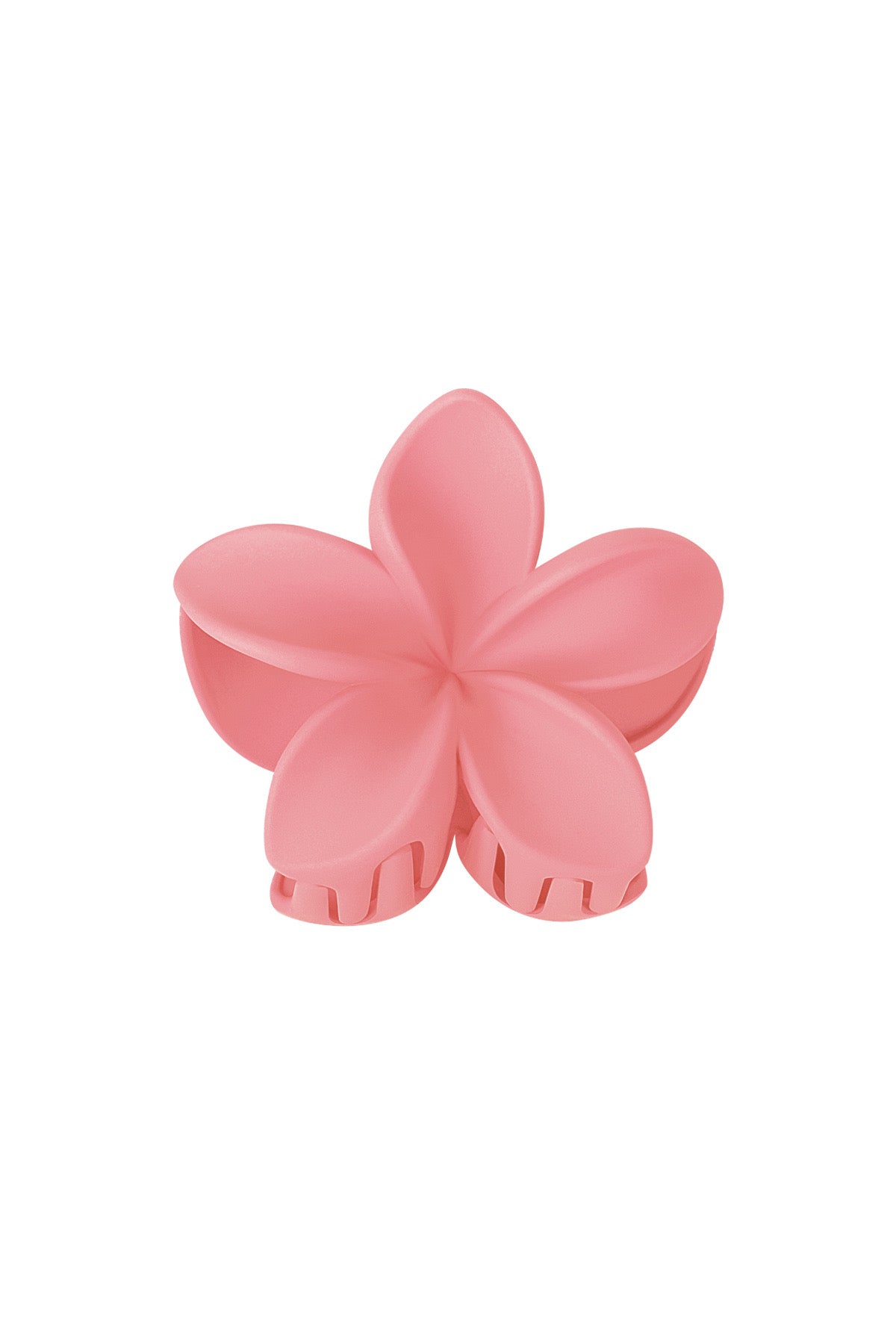 Haarklem bloem | roze