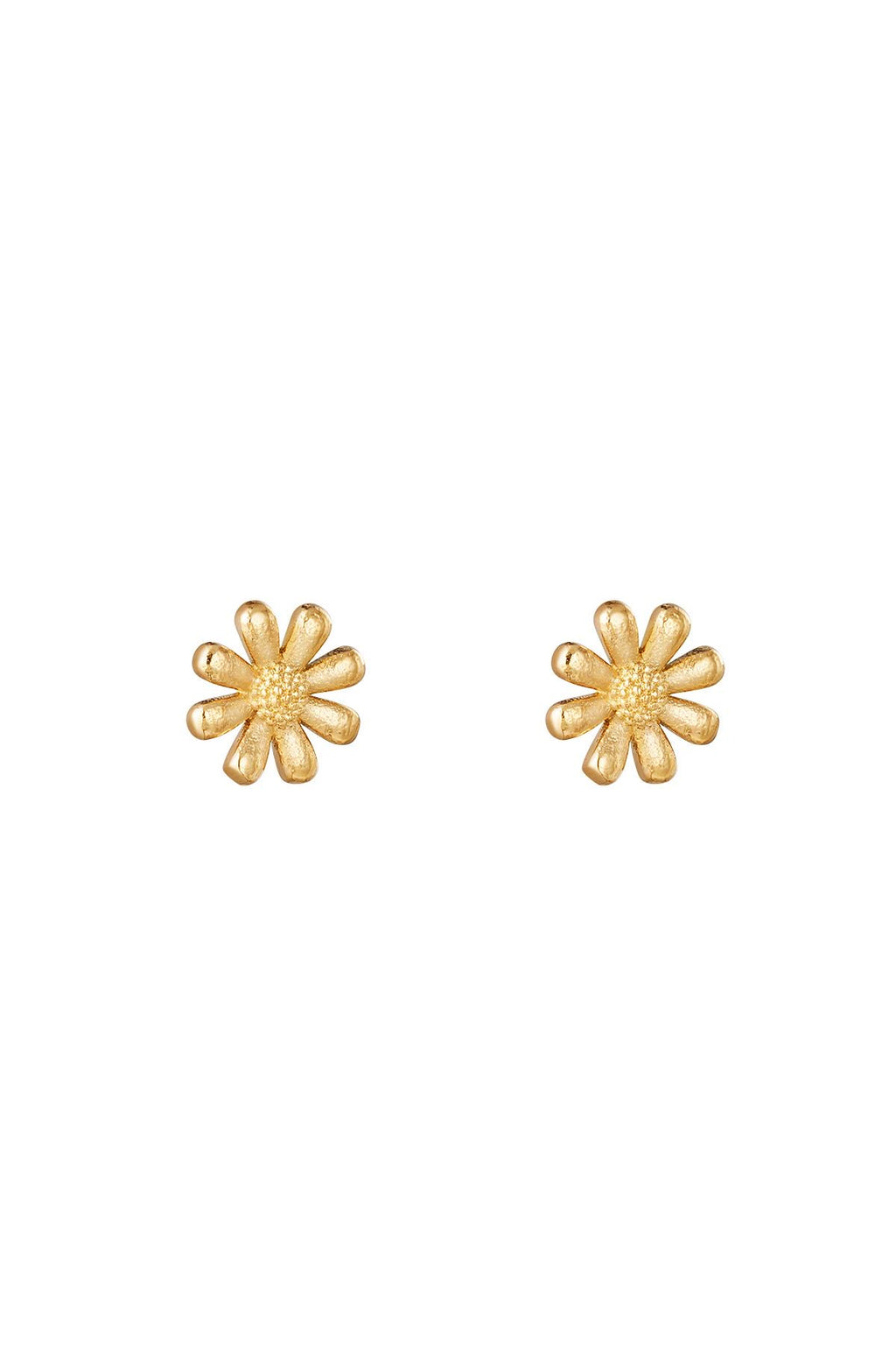 Sieraden | golden Daisy