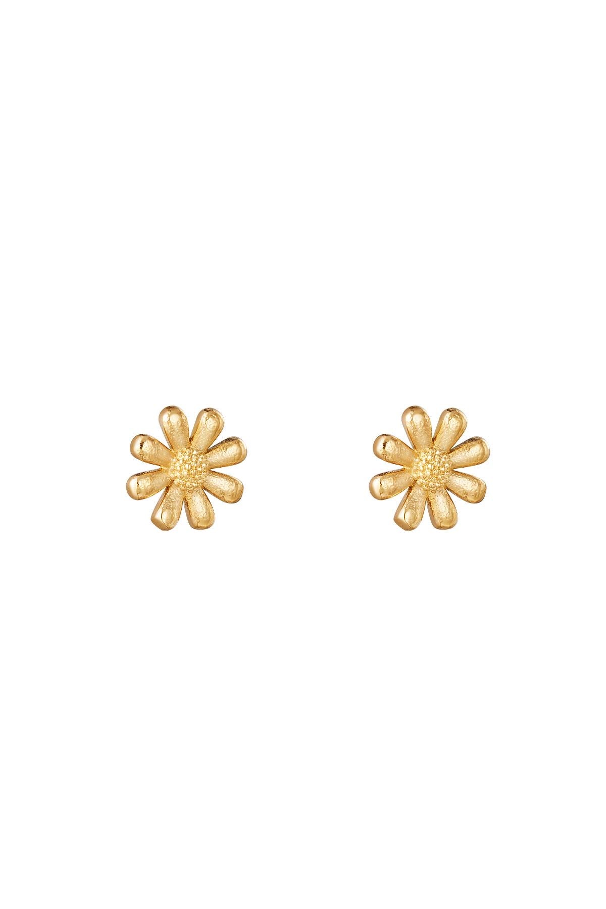 Sieraden | golden Daisy