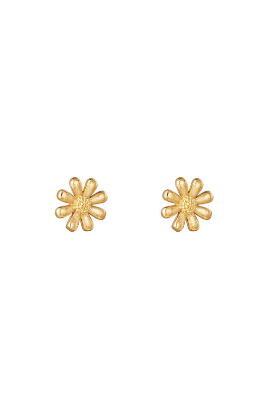 Sieraden | golden Daisy
