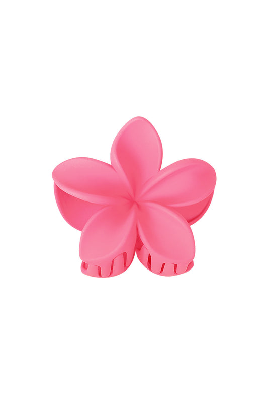 Haarklem bloem | fuchsia
