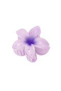 haarklem | hibiscus paars