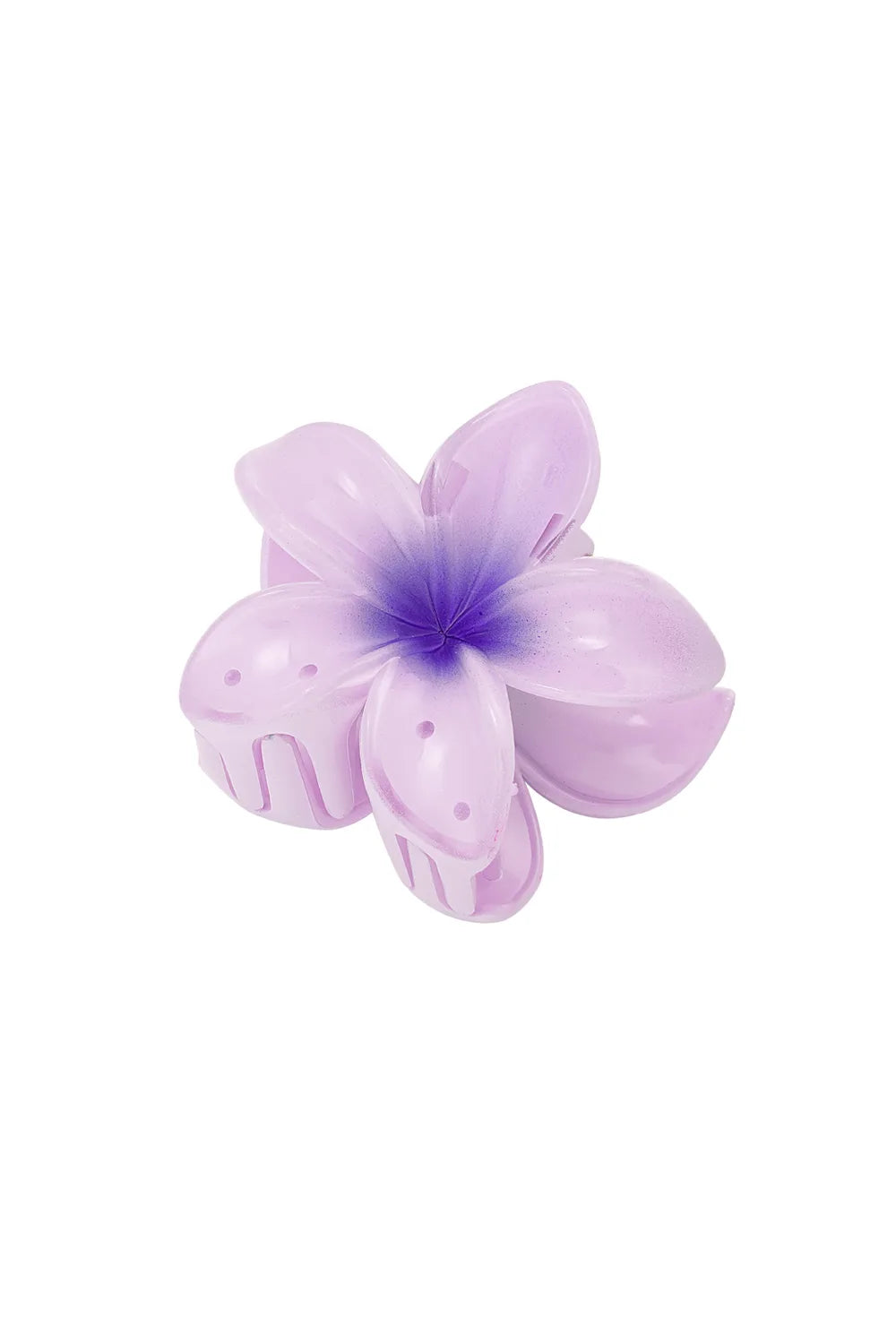 haarklem | hibiscus paars