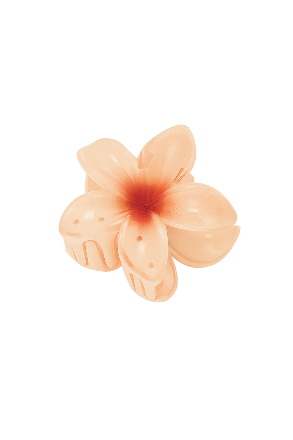 haarklem | hibiscus peach