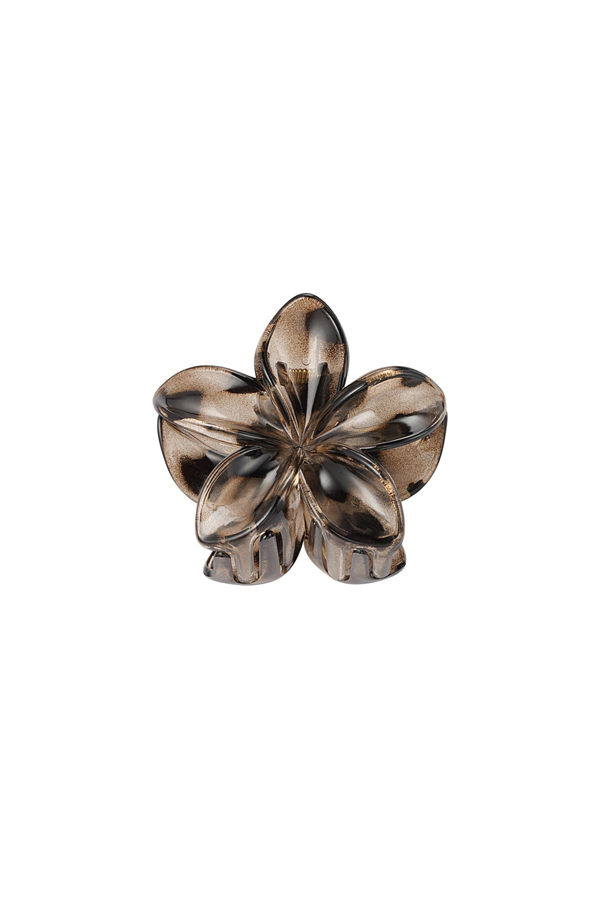 haarklem | hibiscus bruin