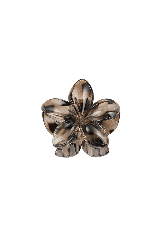haarklem | hibiscus bruin