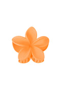 Haarklem bloem | oranje