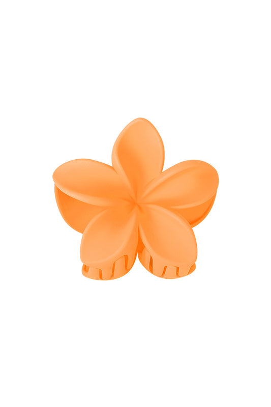 Haarklem bloem | oranje