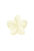 Haarklem bloem | wit