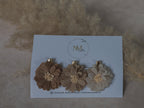 Alligator | set - autumn flowers
