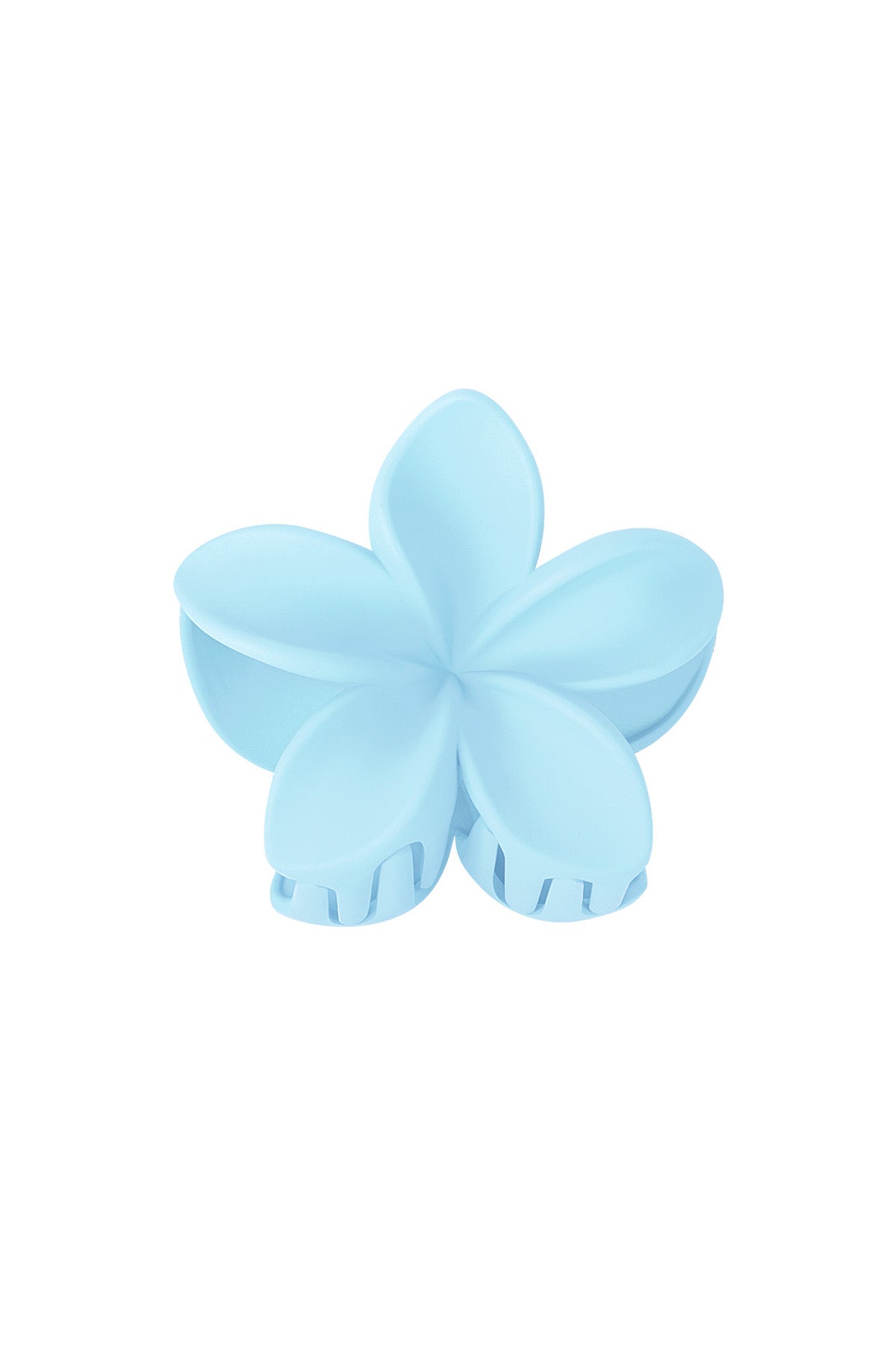 Haarklem bloem | blauw