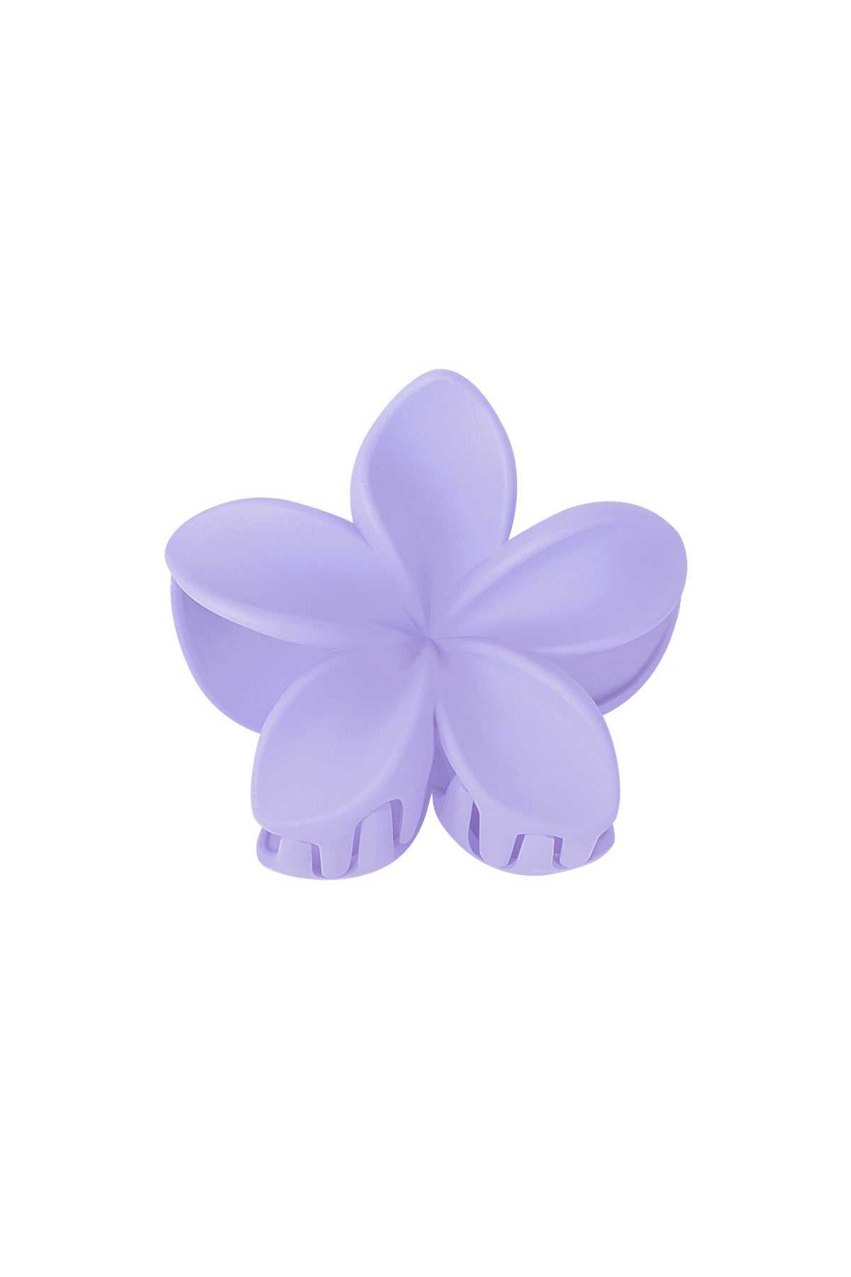 Haarklem bloem | lila
