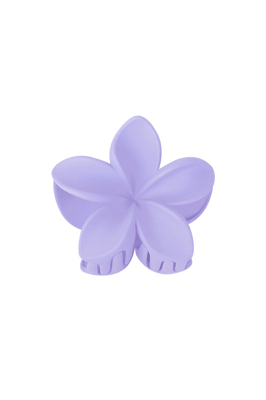 Haarklem bloem | lila