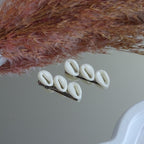 Alligator | set - shells