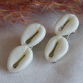 Alligator | set - shells