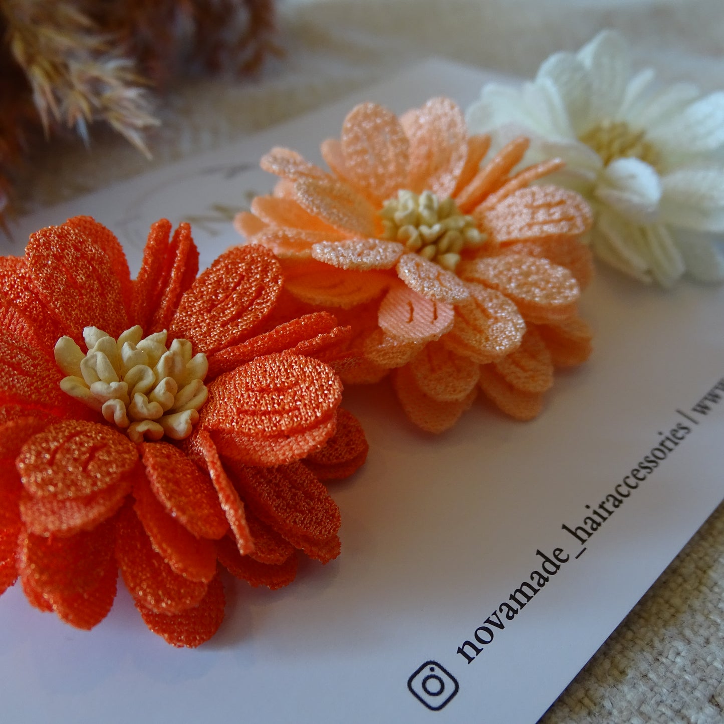 Alligator | Sunrise blossom