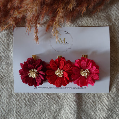 Alligator | Ruby Petals