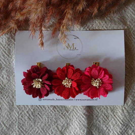 Alligator | Ruby Petals