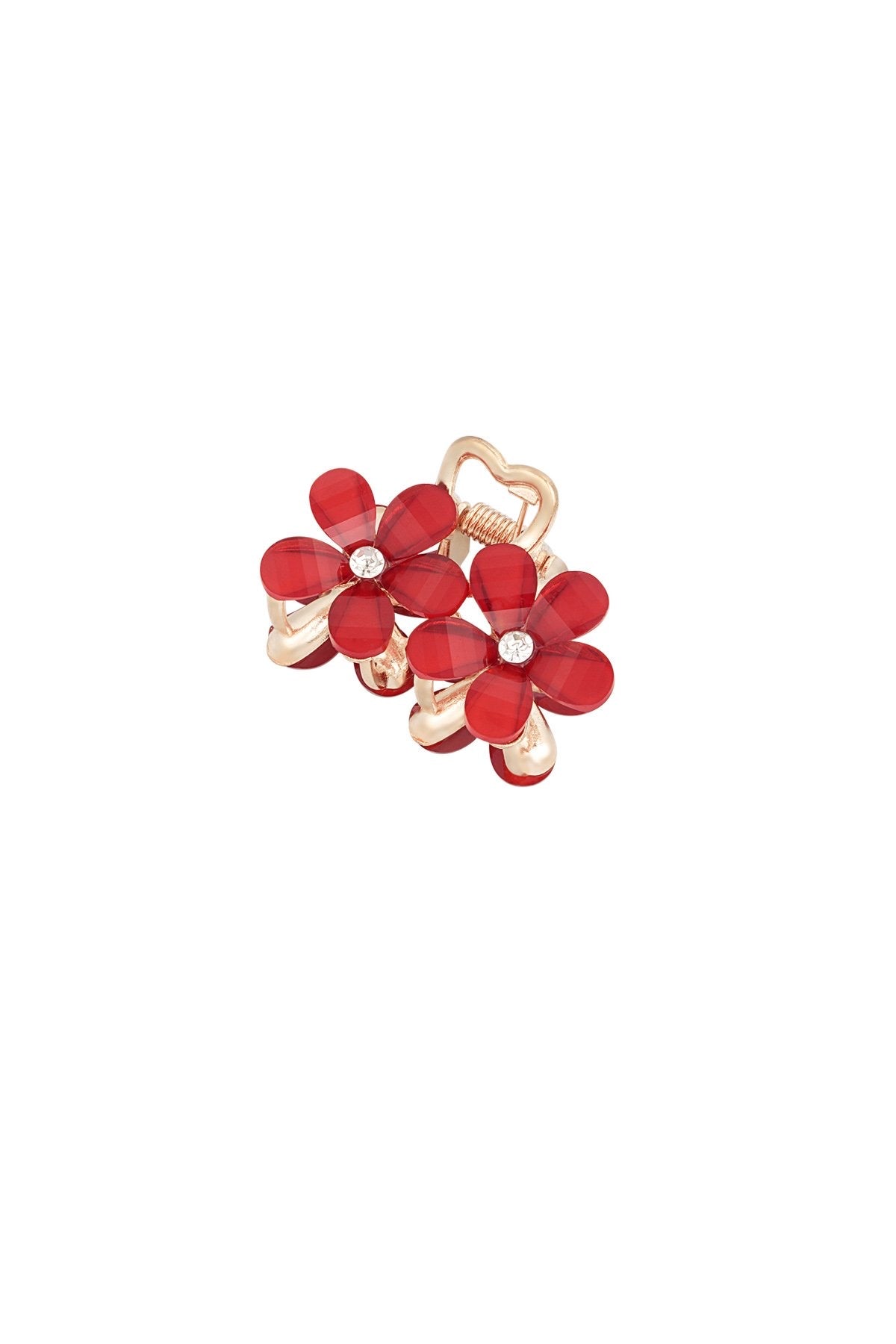 Haarklem | flower duo